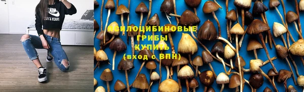 мескалин Переславль-Залесский